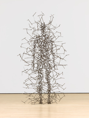 Anthony Gormley 565