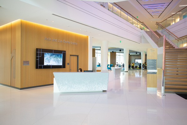 Fractals Transcending