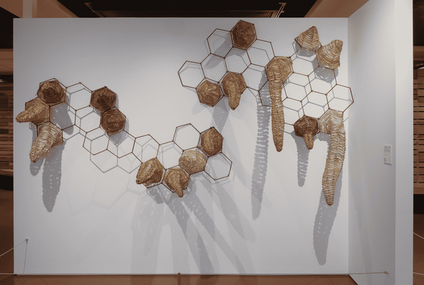 BRENDA MALLORY | biophilia: Emergent Properties