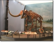 Hyde Park Mastodon