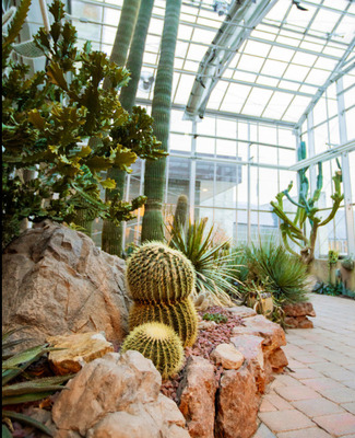 Earl & Donnalee Holton Arid Garden 