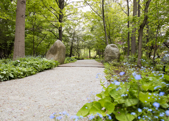 Gwen Frostic Woodland Shade Garden