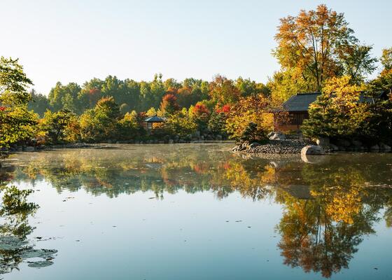 Lena Meijer Pond