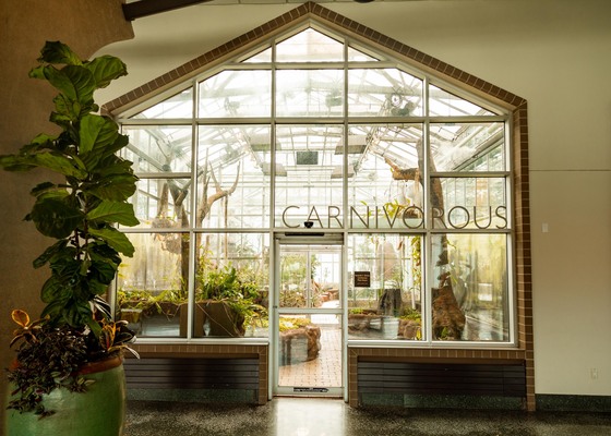 Kenneth E. Nelson Carnivorous Plant House (Indoors)