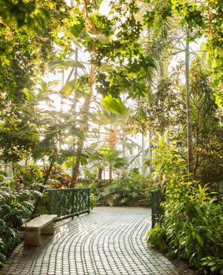 Lena Meijer Tropical Conservatory (Indoors)