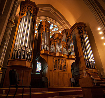 Organ