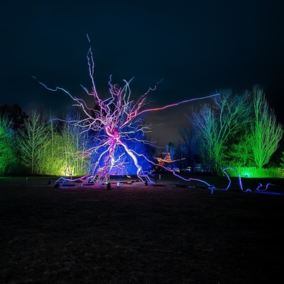 Neuron 