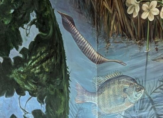 Flora and Fauna of Prehistoric Rock River Valley  