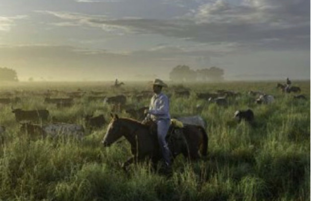 Buck Island Ranch