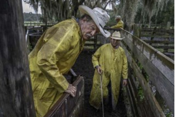 Cattlemen