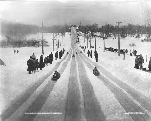 Tobogganing, park slide