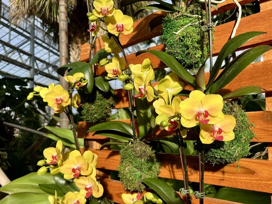 About This Year's Display