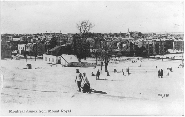 Winter scene, Mount Royal