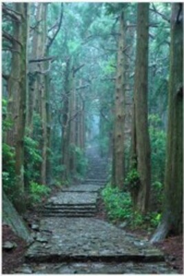 Kumano Pilgrimage Pass, Daimonzaka Slope