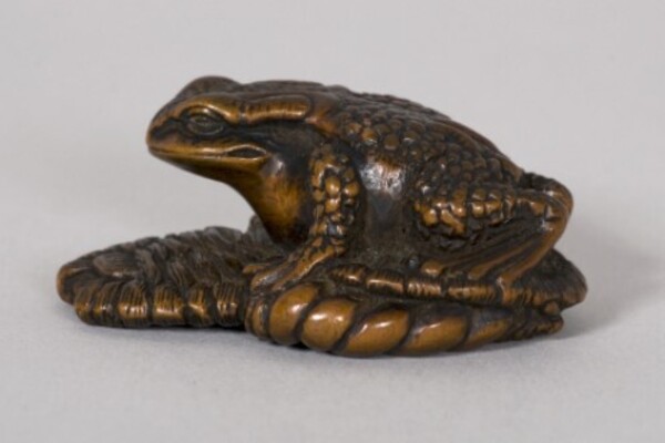 Inspired by Nature (Inspirados en la naturaleza)