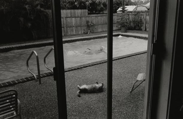 Sally and Max, Summer 88
