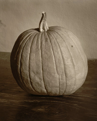 Pumpkin with Green-Wing Fly