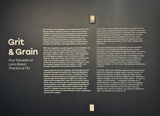 Introduction Wall Text
