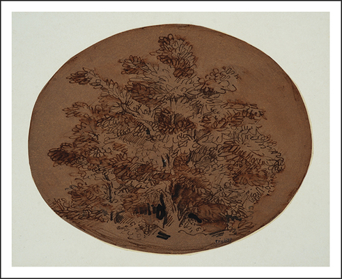 Untitled (circle: trees, greenery)