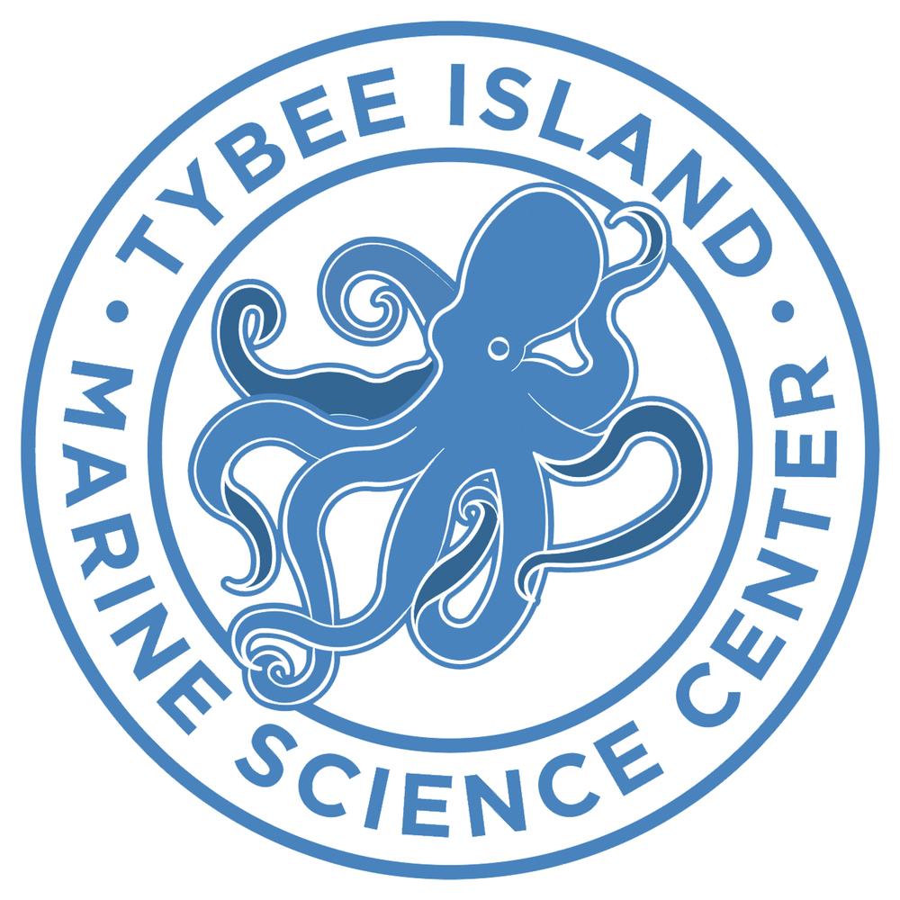 Tybee Island Marine Science Center